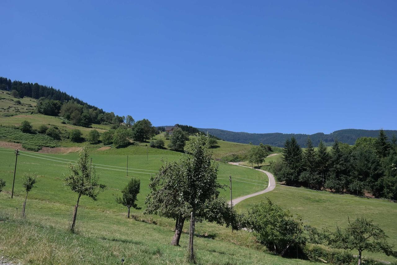 Maierhof Oberried (Breisgau) Exterior foto